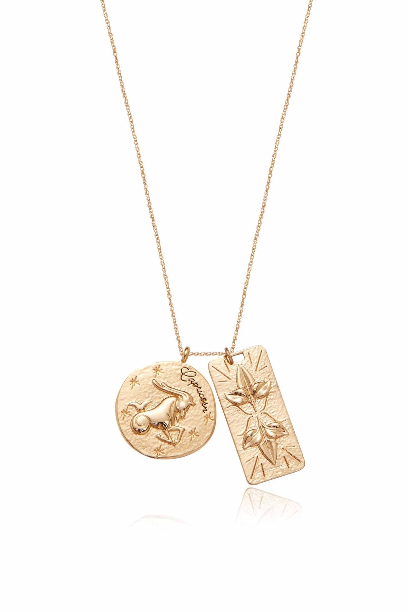 Zodiac Double Medallion Necklace Capricorn One Size