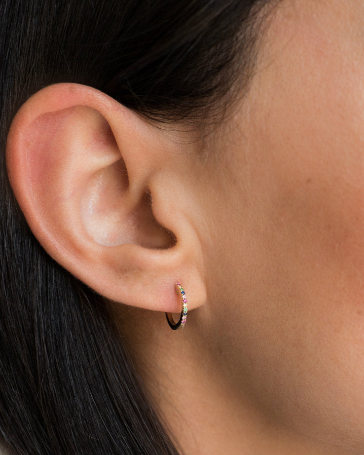 Rainbow Huggie Earrings