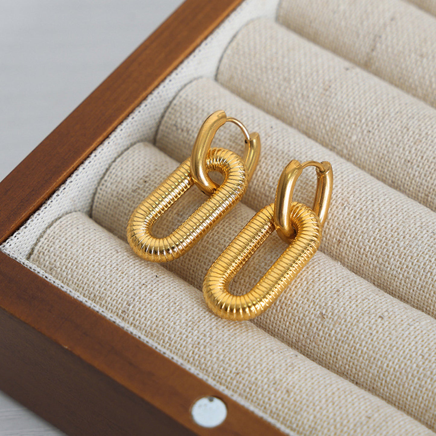 Titanium steel Dangle Earrings Gold One Size
